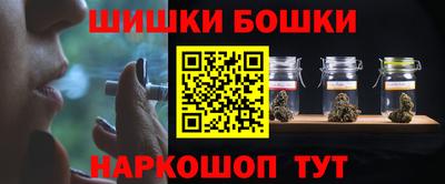 индика Можайск