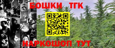 индика Можайск