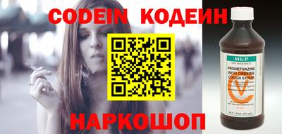 индика Можайск