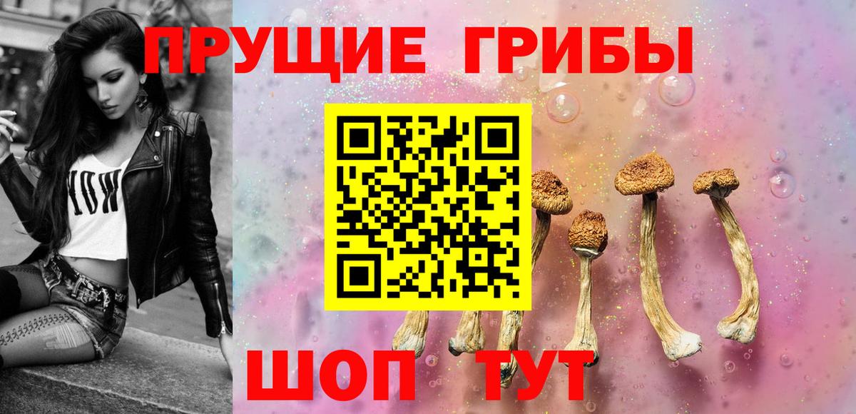 Псилоцибиновые грибы мухоморы Тамбов