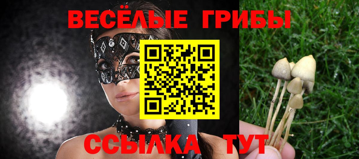 Тамбов  Псилоцибиновые грибы ЛСД  Вход с VPN 